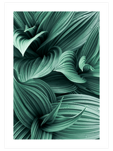 Green Perfection - Art Print